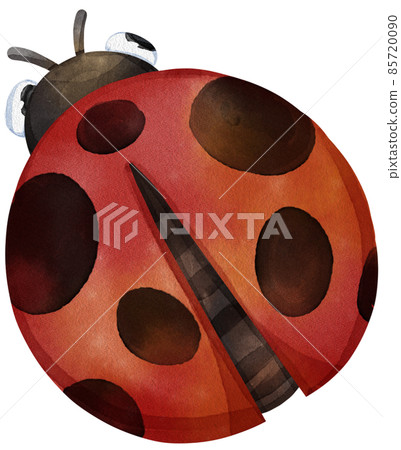 Ladybug watercolor clipart png Ladybug watercolor clipart png 85720090