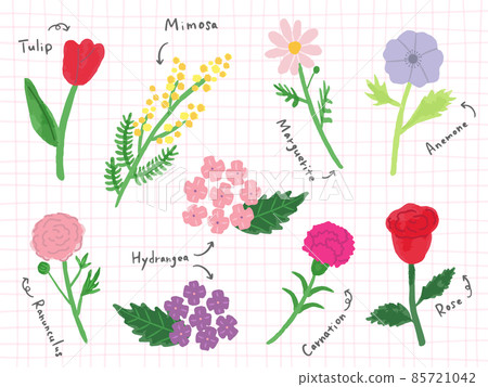 花插圖集 85721042