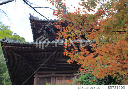 四國聖地第 71 號不動所“矢谷寺”多寶和紅葉(盛開) 四國聖地第 71 號不動所“矢谷寺”多寶和紅葉(盛開) 85721203