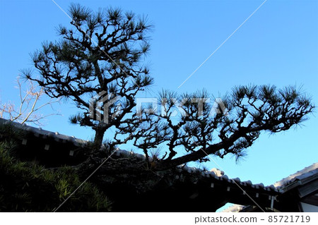 木曾三泉公園中心冬季漫步·11（岐阜縣海津市） 85721719