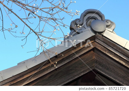 木曾三泉公園中心冬季步行・ 12（岐阜縣海津市） 85721720