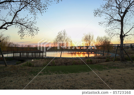 Lake of sunset 85723168