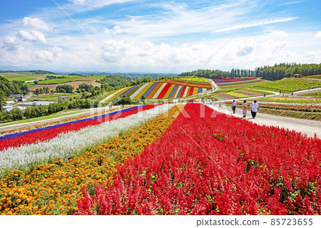 北海道·四季Ayano no Oka 北海道·四季Ayano no Oka 85723655