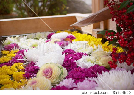 Flowers of Chozuya Flowers of Chozuya 85724600