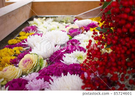 Flowers floating on the water Flowers floating on the water 85724601