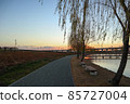 夕陽下公園裡的湖 85727004