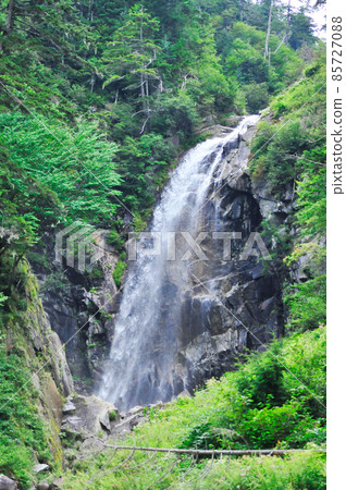 駒根高原的未開發區域，新鮮的綠色和伊勢瀑布 85727088
