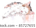 Watercolor illustration of cat relaxing.  85727655