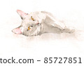 Loose watercolor illustration of black cat with yellow eyes lying on white background. 85727851