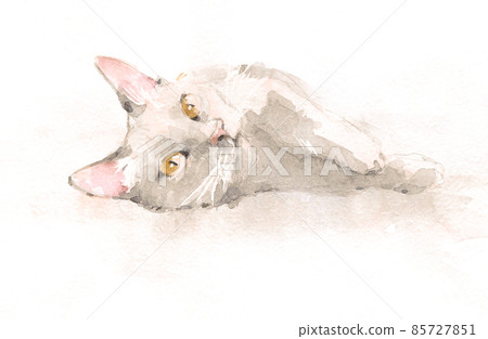 Loose watercolor illustration of black cat with yellow eyes lying on white background. Loose watercolor illustration of black cat with yellow eyes lying on white background. 85727851