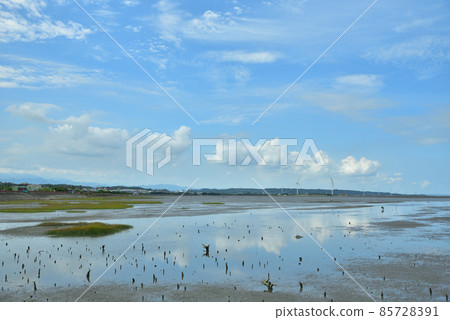 香山濕地 85728391