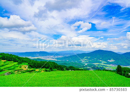 Take Rice Terraces and Imari City 85730383