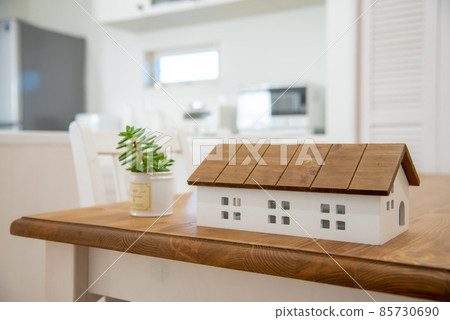 Dining kitchen with fashionable miscellaneous goods and foliage plants 85730690