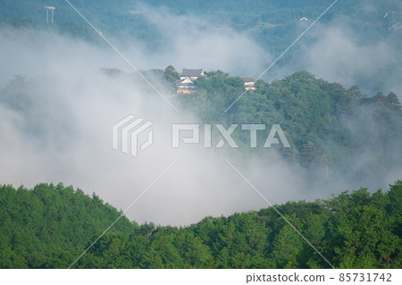 [100 Fine Castles of Japan] Bitchu Matsuyama Castle 22 floating in the sea of clouds in midsummer, Takahashi City, Okayama Prefecture 85731742