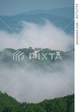 【日本百城精品】仲夏雲海備中松山城31岡山縣高橋市 85731755