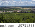 Vinyards Meursault Burgundy 85731843