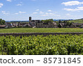Vinyards Pommard Burgundy 85731845