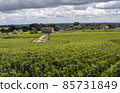 Vinyards Village Montrachet 85731849