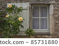 Window with Rose 85731880