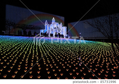 Ashikaga Flower Park Illuminations Ashikaga Flower Park Illuminations 85731996