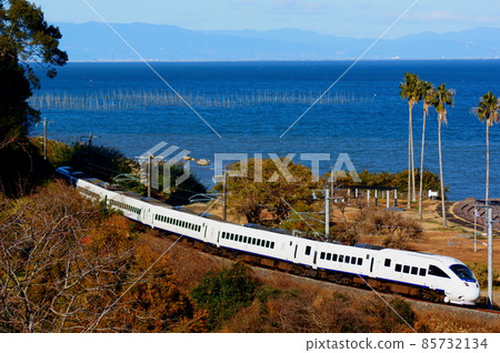 White Kamome passing near the famous Shirahama beach 85732134