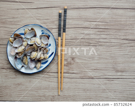 Fresh food ingredients: clams, shellfish Fresh food ingredients: clams, shellfish 85732624