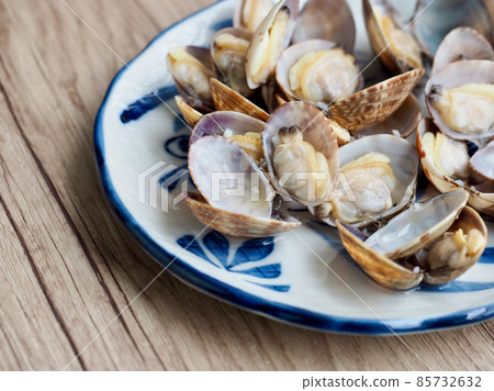 Fresh food ingredients: clams, shellfish Fresh food ingredients: clams, shellfish 85732632