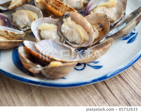 Fresh food ingredients: clams, shellfish Fresh food ingredients: clams, shellfish 85732633