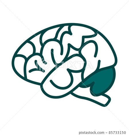 Brain icon - Stock Illustration [81341336] - PIXTA