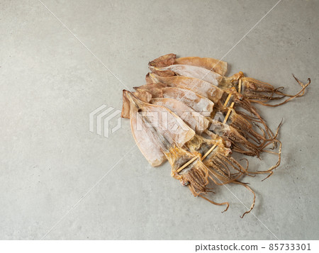 超大的魷魚 超大的魷魚 85733301