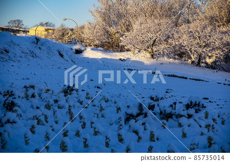 Field covered with snow 85735014