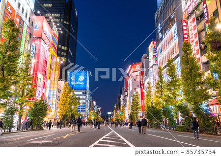 《Tokyo》 Akihabara's electric town / pedestrian paradise 85735734