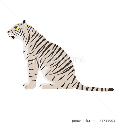 Vector flat sitting tiger 85735903