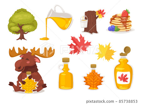 set with maple syrup, tree, and pancakes. 85738853