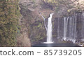 Shiraito Falls in winter 85739205