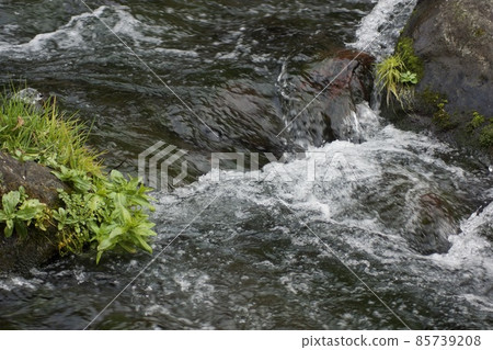 Flow of mountain river in winter Flow of mountain river in winter 85739208