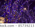 Saturday night, city illuminations 85739213