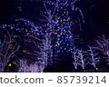 Saturday night, city illuminations 85739214
