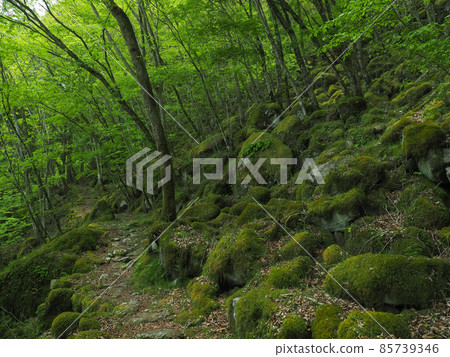 Mie Prefecture Tokai Nature Trail Mt. Obora 85739346