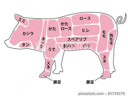豬肉部分 85739370