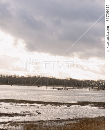 秋天的北海道！野付半島世界盡頭的壯麗景色 85739615