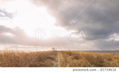 秋天的北海道！野付半島世界盡頭的壯麗景色 85739616