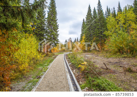 Autumn landscape of a landscaped forest-park zone "Pikhtovyye Mountains". Nizhny Tagil. Sverdlovsk region. Russia Autumn landscape of a landscaped forest-park zone "Pikhtovyye Mountains". Nizhny Tagil. Sverdlovsk region. Russia 85739853