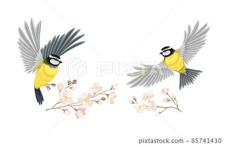 Small tit bird and blooming twig of sakura tree set. Symbol of spring cartoon vector illustration Small tit bird and blooming twig of sakura tree set. Symbol of spring cartoon vector illustration 85741430