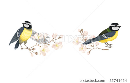 Small tit bird sitting on blooming tree branch set cartoon vector illustration 85741434