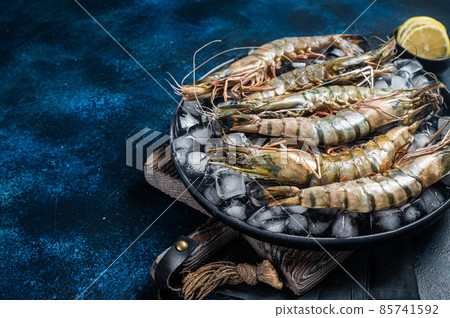 Giant Black tiger prawns shrimps on a plate with ice. Raw Seafood. Blue background. Top view. Free copy space Giant Black tiger prawns shrimps on a plate with ice. Raw Seafood. Blue background. Top view. Free copy space 85741592