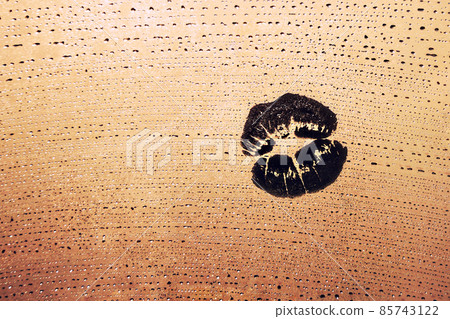 track of lip pampering on sunset window with raindrops 85743122