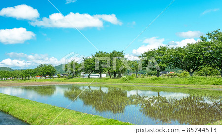 舊倉吉線舊址(倉吉市大鴨附近)的田園風光 舊倉吉線舊址(倉吉市大鴨附近)的田園風光 85744513