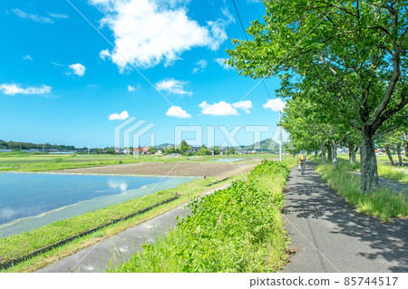 Rural scenery spreading on the site of the former Kurayoshi Line (near Ogamo, Kurayoshi City) Rural scenery spreading on the site of the former Kurayoshi Line (near Ogamo, Kurayoshi City) 85744517