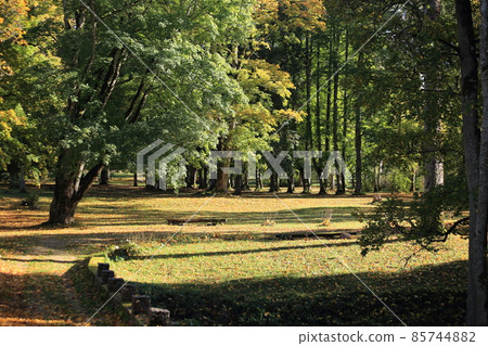 Beautiful landscape with autumn Edoles Castle Park, Latvia. High quality photo Beautiful landscape with autumn Edoles Castle Park, Latvia. High quality photo 85744882
